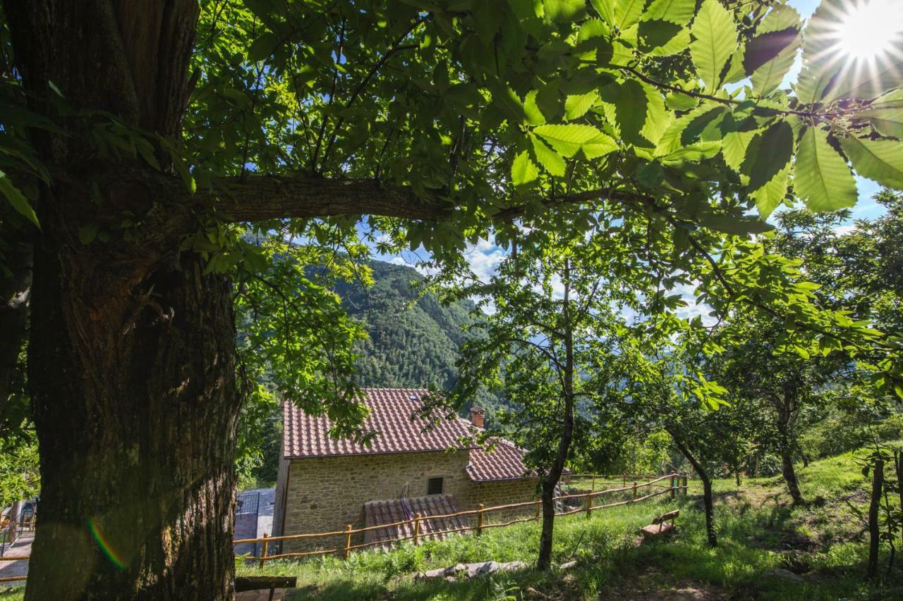 Antichi Sentieri Apartment Serravalle  Exterior foto